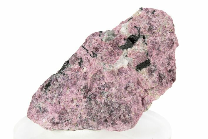 Eudialyte Specimen - Kukisvumchorr Mountain, Russia #260978